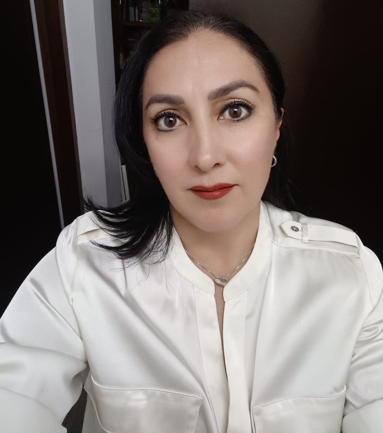 Guía Montessori Cinthia Alejandra Félix Ochoa